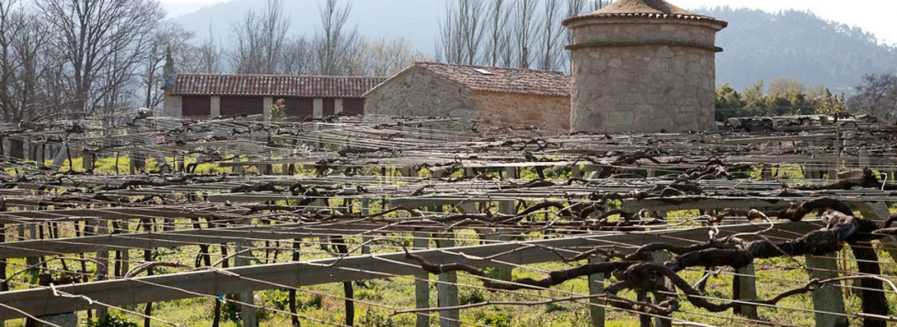 El enólogo detrás del éxito de Bodegas Zarate