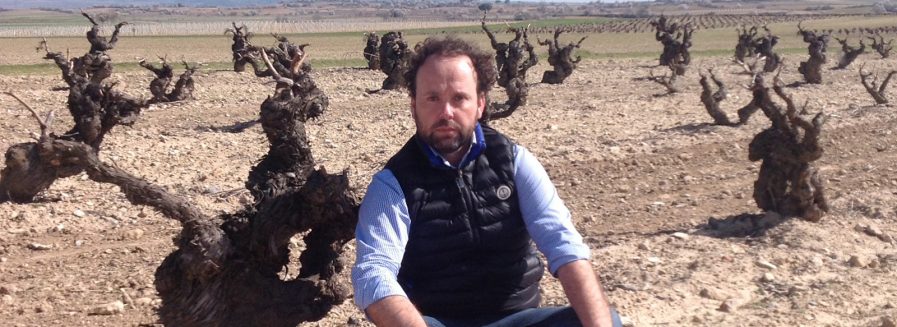 Los viñedos singulares de César Muñoz