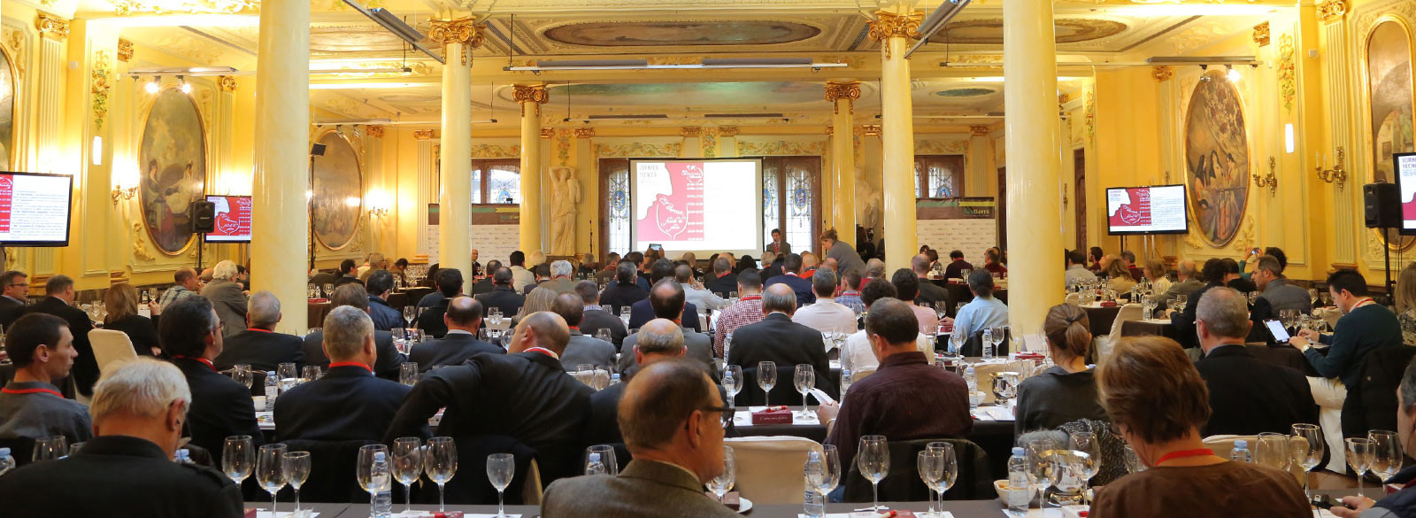 La Garnacha española, la mejor del mundo