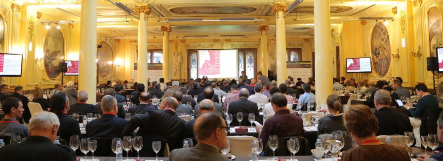 La Garnacha española, la mejor del mundo