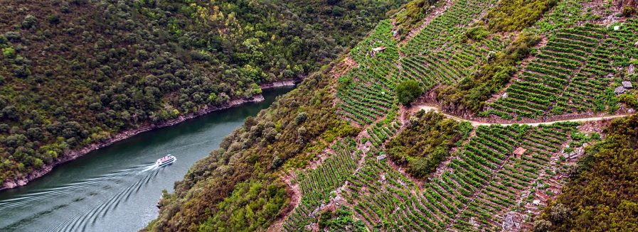 Los tintos de Ribeira Sacra