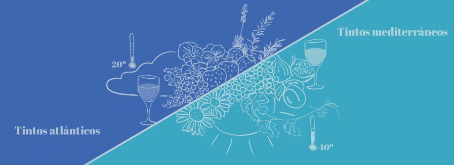 Dos estilos de tintos: atlánticos y mediterráneos