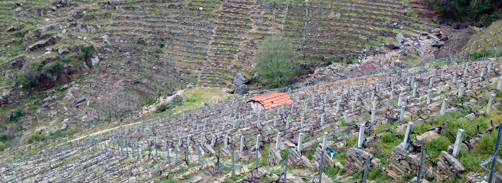 3 días en la Ribeira Sacra