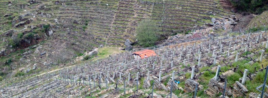 3 días en la Ribeira Sacra