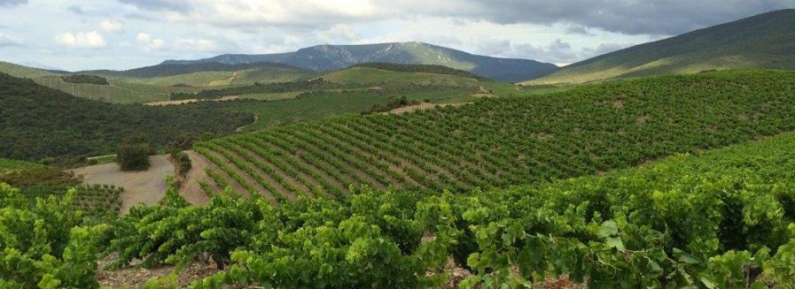Languedoc-Roussillon, el secreto mejor guardado de Francia