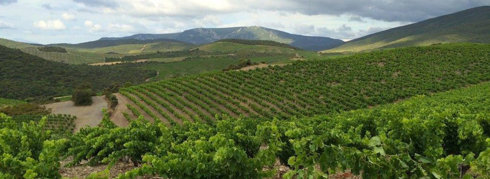 Languedoc-Roussillon, el secreto mejor guardado de Francia