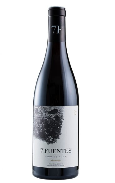 Vinos volcánicos: al son del terruño
