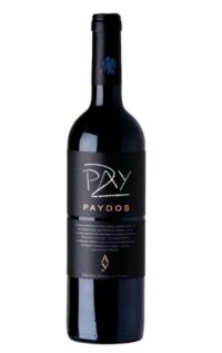 Paydos 2013