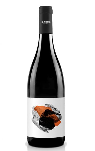 Vinos volcánicos: al son del terruño