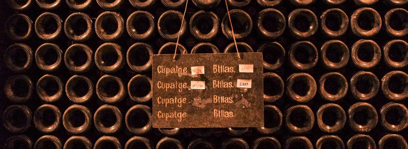 Cataluña para winelovers