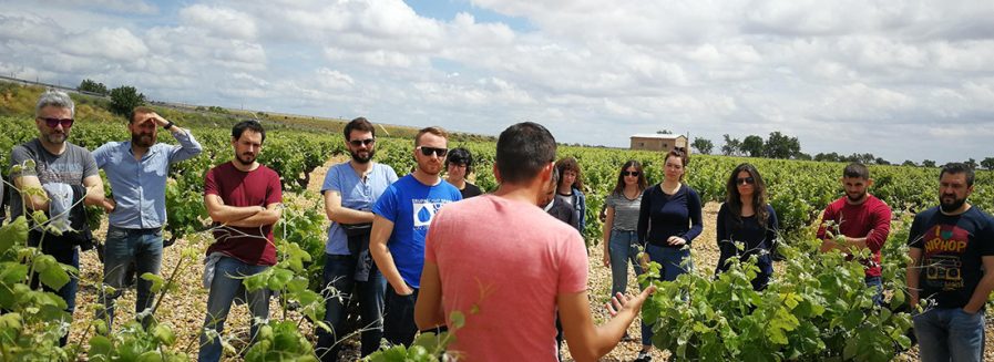 Catando en viña: el equipo Bodeboca en Ponce