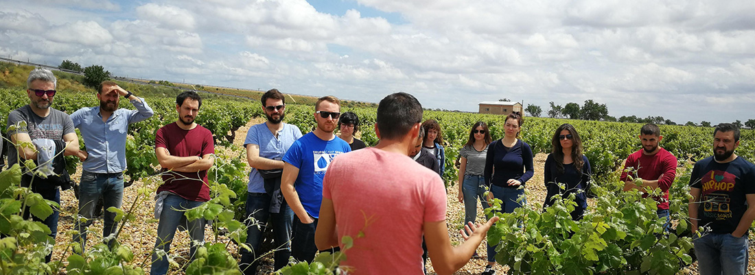 Catando en viña: el equipo Bodeboca en Ponce