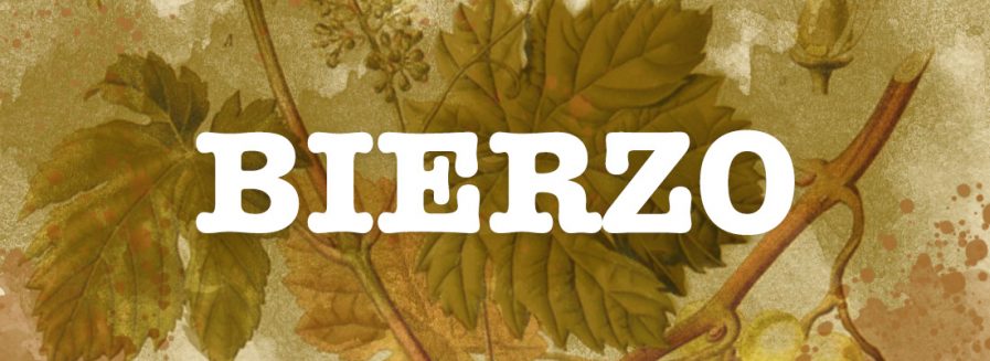 10 vinos del Bierzo con una relación calidad-precio insuperable