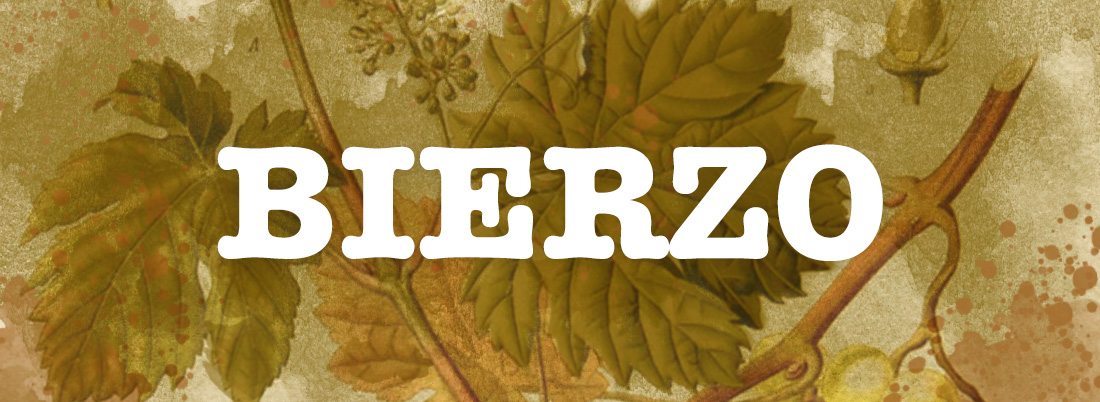 10 vinos del Bierzo con una relación calidad-precio insuperable