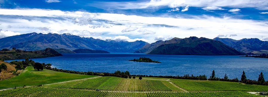 Pinot noir del Nuevo Mundo: culto allende los mares