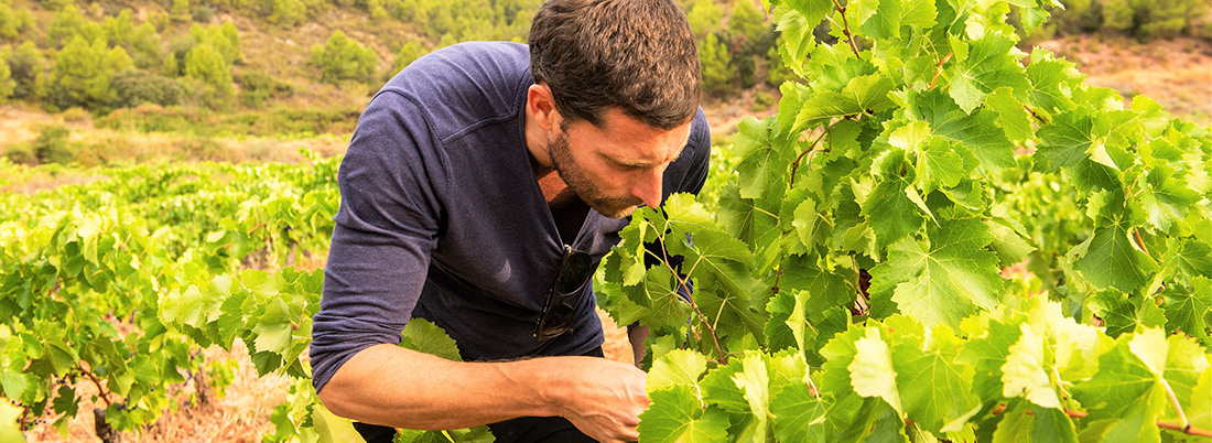 Entrevista a Dominik Huber, enólogo de Terroir Sense Fronteres
