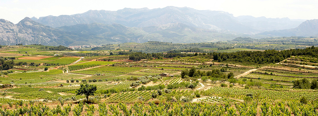 7 vinos de la Terra Alta, la comarca que da título al último Premio Planeta