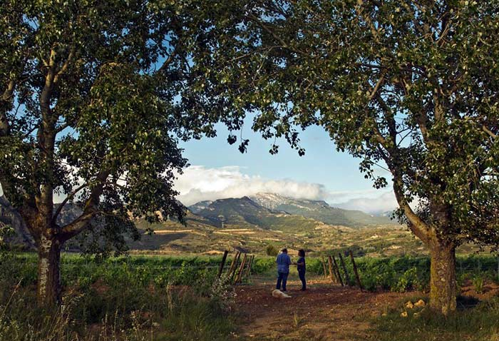 Bárbara Palacios en su viñedo de Los Riscos de Bilibio, Rioja