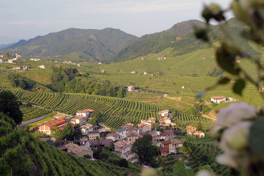 Bonito pueblo italiano rodeado de viñas
