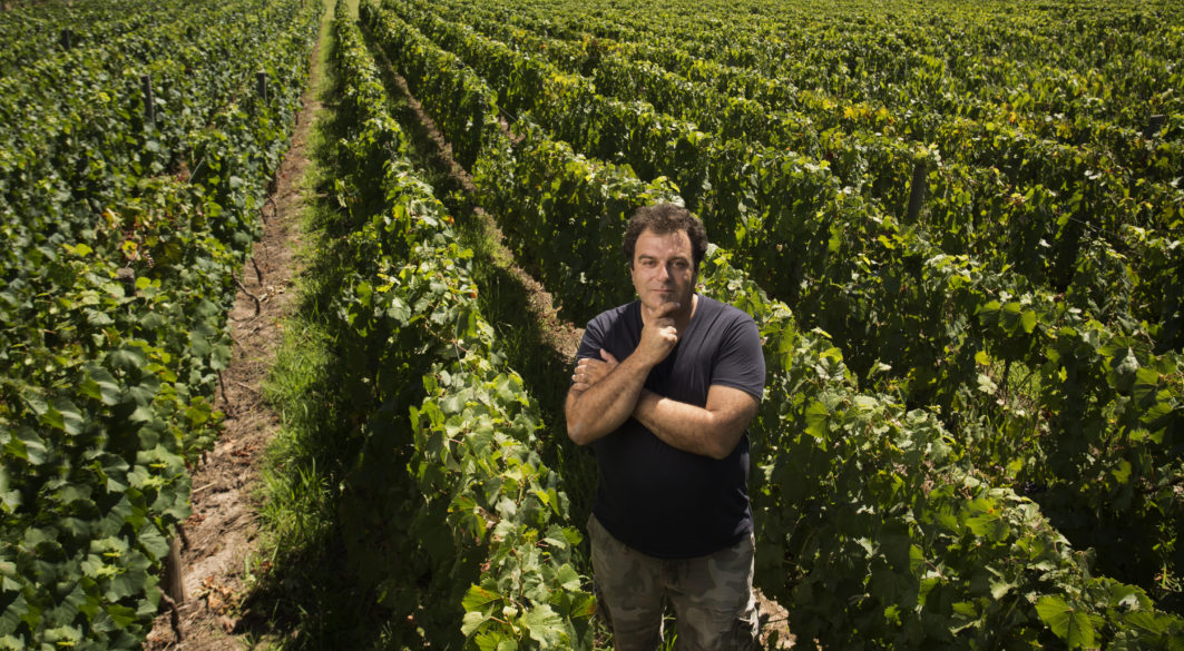 Alejandro Vigil en el viñedo