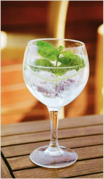 Gin & tonic