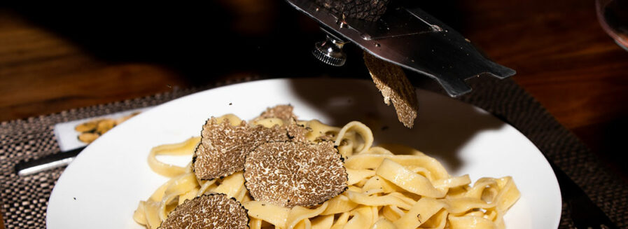 Tiempo de trufas