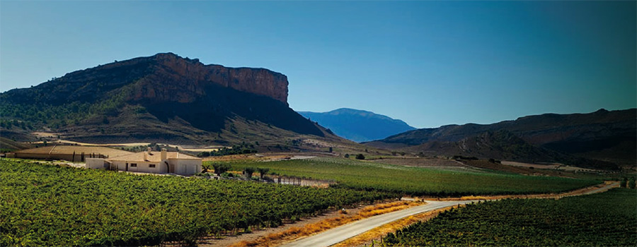 Jumilla, carácter mediterráneo