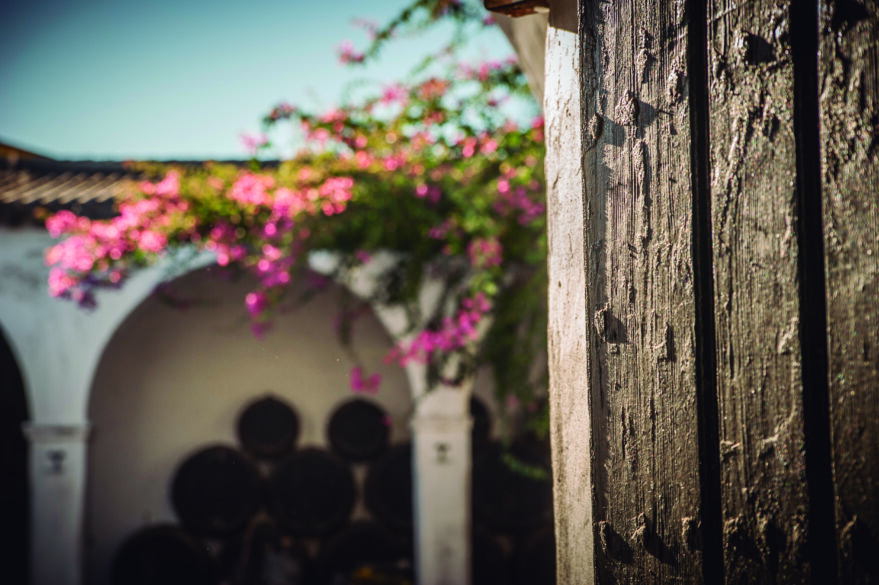 Detalle del patio de la bodega González Byass