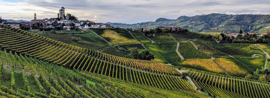 Descubre los vinos de Piamonte