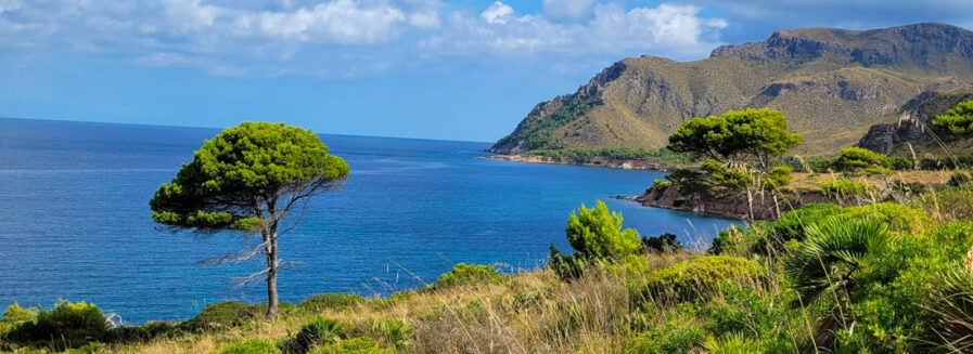 Mallorca: distrútala también en otoño