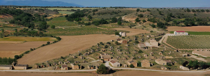 La D.O. Ribera del Duero cumple 40 años. ¿Qué sabes de ella?