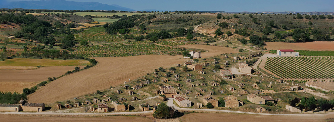 La D.O. Ribera del Duero cumple 40 años. ¿Qué sabes de ella?