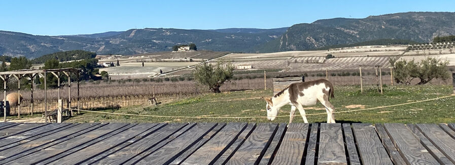 El Celler del Roure, la pureza de la Toscana valenciana