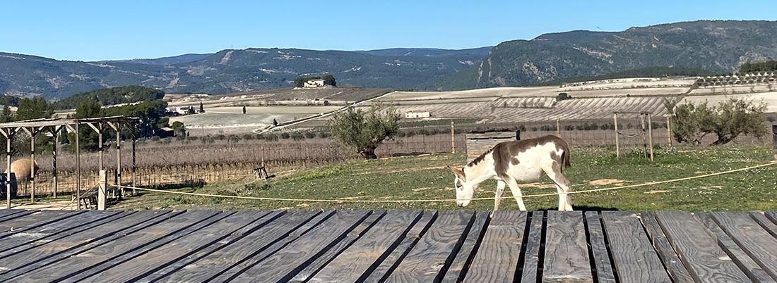 El Celler del Roure, la pureza de la Toscana valenciana