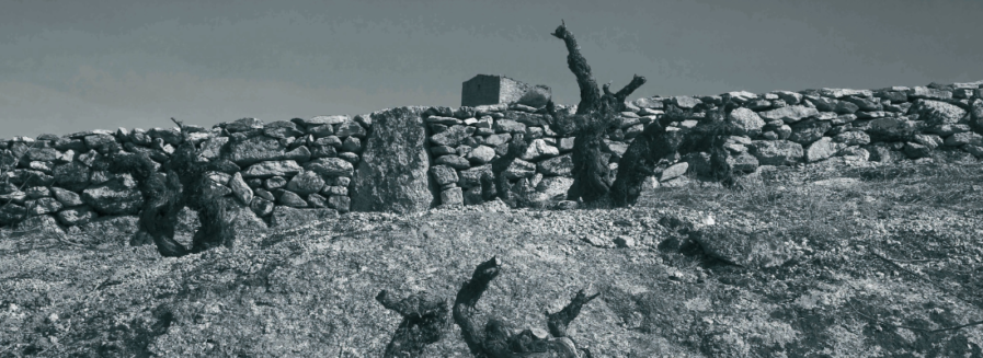 ¿A qué sabe un vino de suelo granítico?