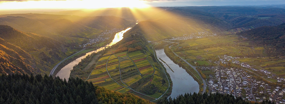El Mosel, rieslings para tocar el cielo