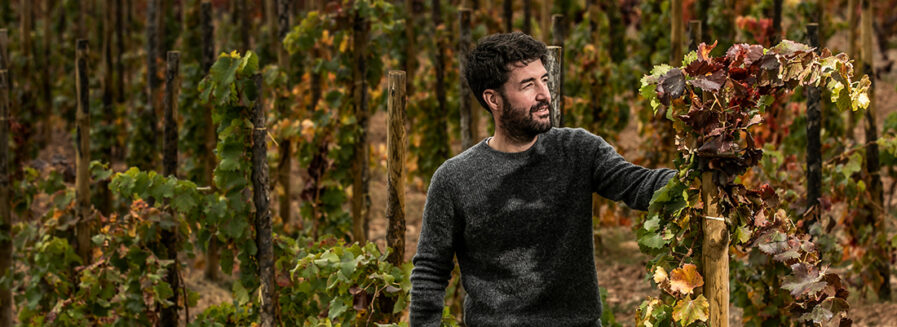 Vinos En Voz Baja de Carlos Mazo: guardianes de la tradición riojana