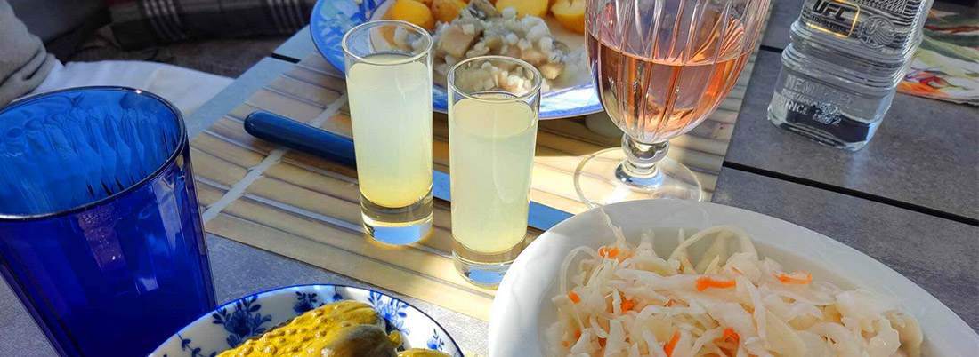 Por qué el vodka no debe faltar en nuestra mesa
