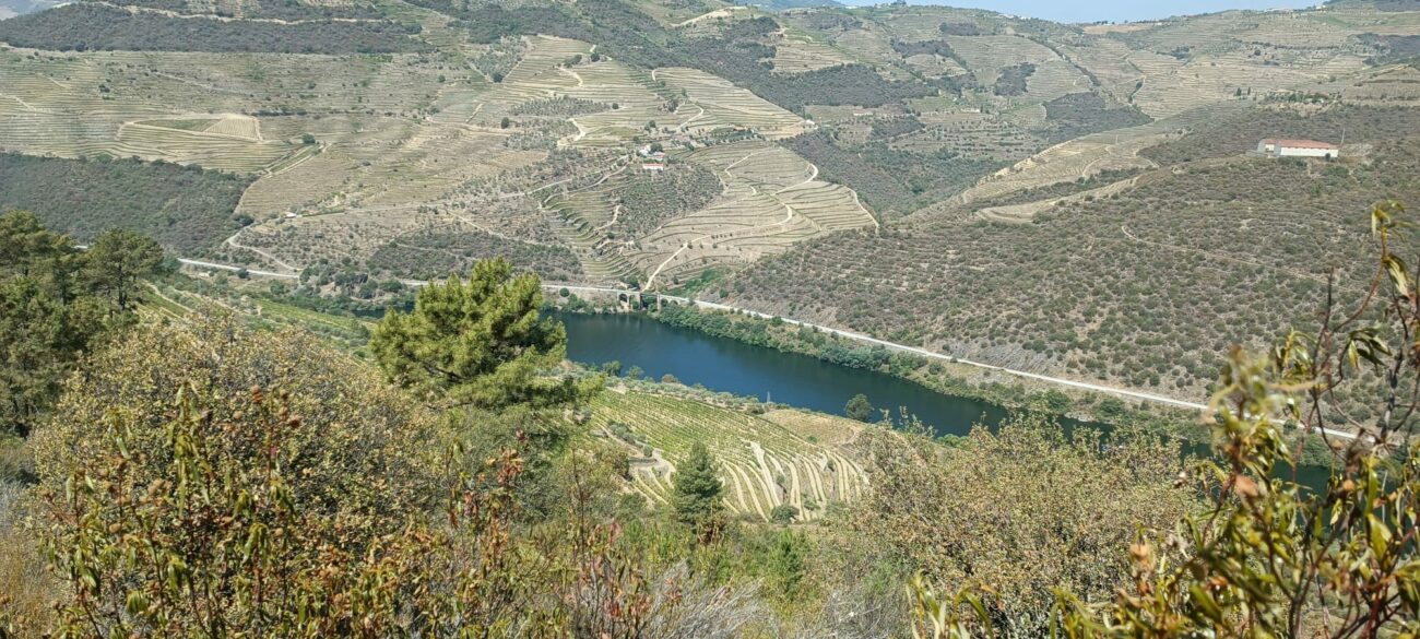 Imagen del Duero a su paso por la región