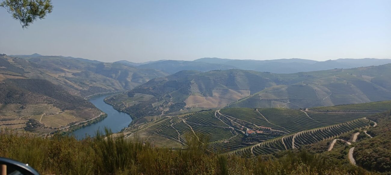 Vista de las colinas repletas de viñedos y del río
