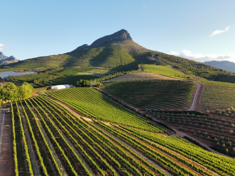 Imagen de un viñedo en Stellenbosch, Sudáfrica, desde el aire