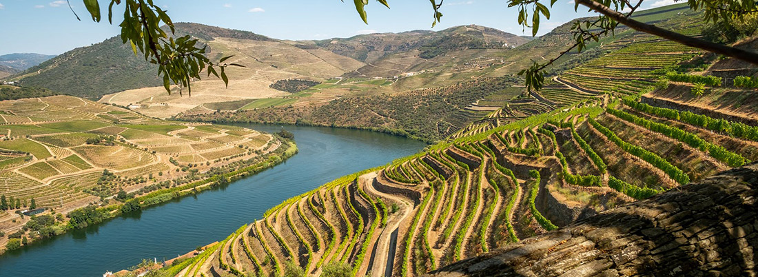 Douro: comer bien, beber mejor y disfrutar al máximo