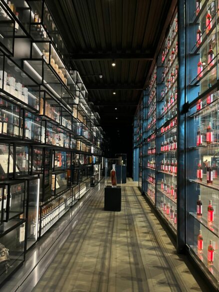 Biblioteca del whisky en la destilería The Macallan