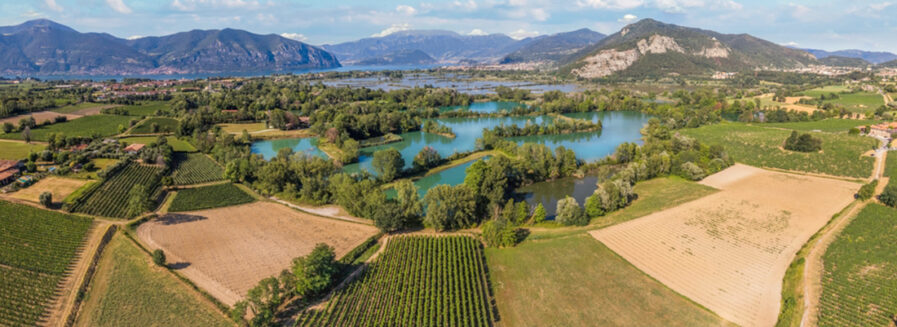 Franciacorta: Las finas burbujas ‘Made in Italy’