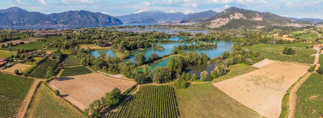 Franciacorta: Las finas burbujas ‘Made in Italy’