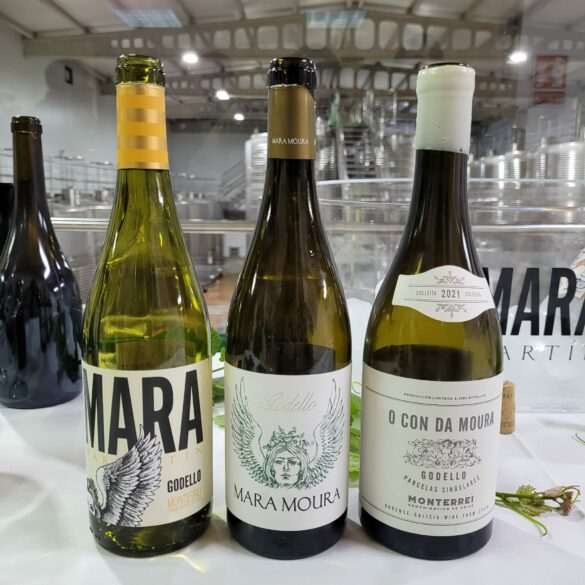 Cata de vinos en Terras de Cigarrón