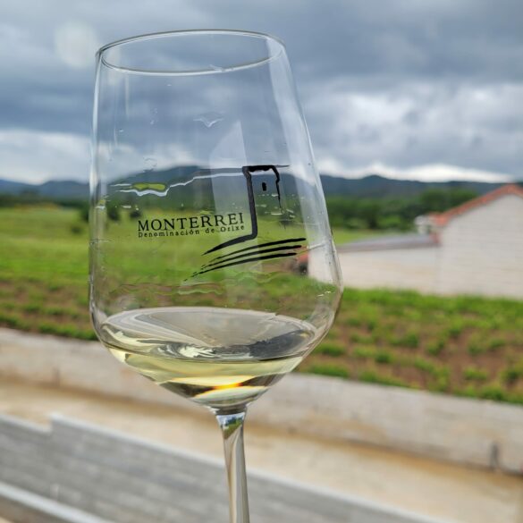 Copa D.O. Monterrei con los viñedos de fondo