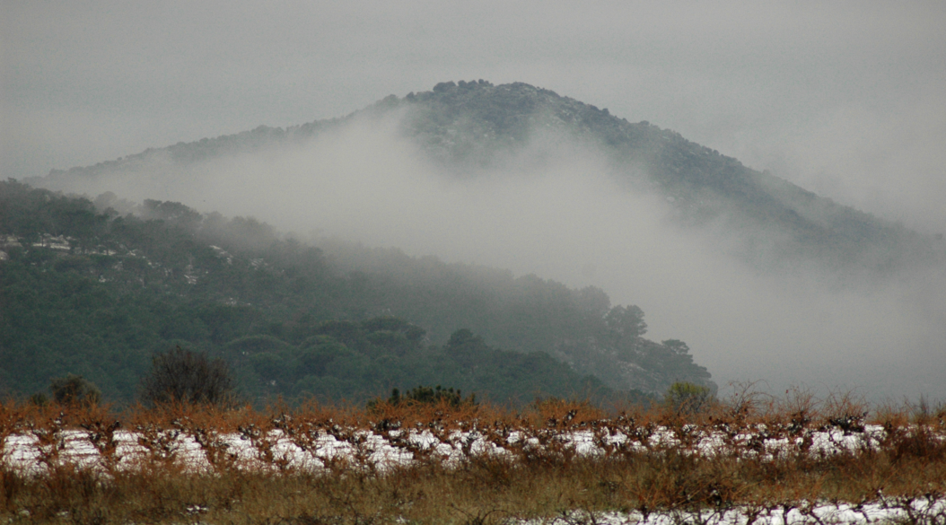 Vista de los viñedos de Ca'di Mat con niebla en una mañana de otoño