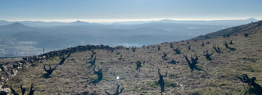 Vinos de Gredos: la fórmula mágica de las tres ‘G’