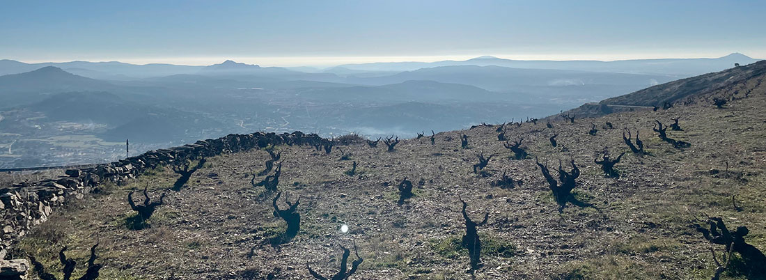 Vinos de Gredos: la fórmula mágica de las tres ‘G’